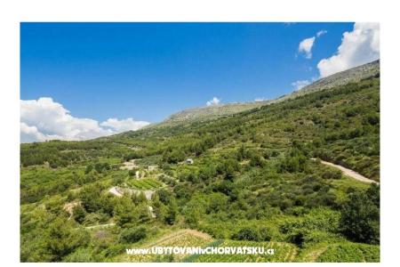 Carso Olea foto 4