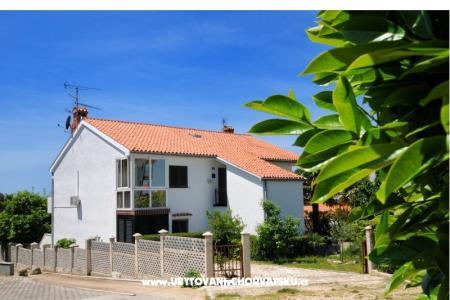 Apartma Dragica foto 3