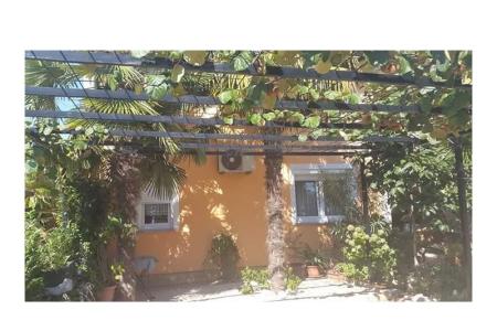 Apartmaji Lucija foto 2