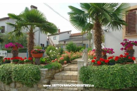 Apartmaji Milokanović foto 4