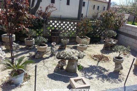 Apartmaji KRAMAR foto 5
