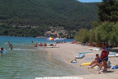 Apartmaji Cvetko foto 4