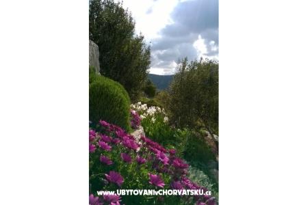 Apartmaji   Luka foto 5