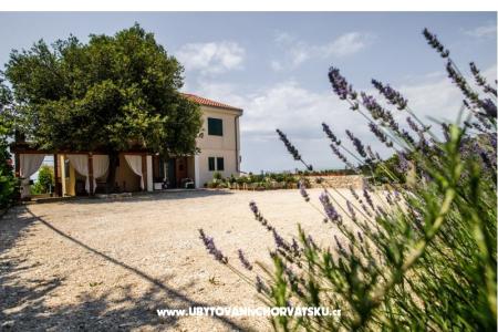 Apartmaji Andreja Primošten Hrvaška