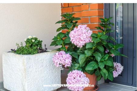 Apartmaji Andreja foto 3