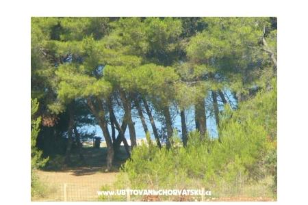 Apartmaji Dora foto 4