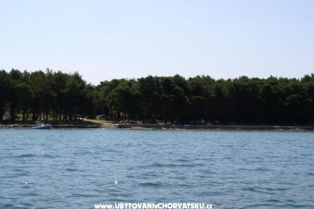 Apartmaji Nadija foto 4