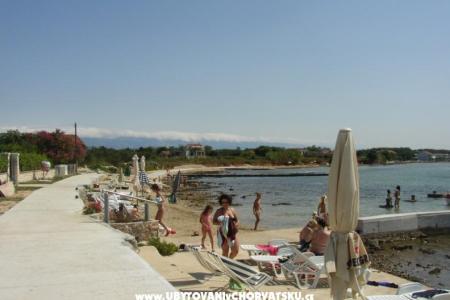 Apartmaji Villa Goga  foto 2