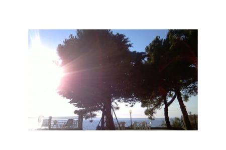 Apartmaji Šime foto 3