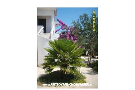 Apartmaji Šime foto 5