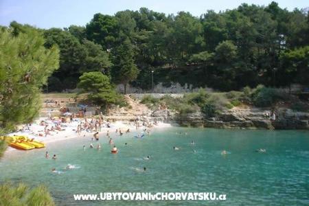 Apartmaji Tea Pula Hrvaška
