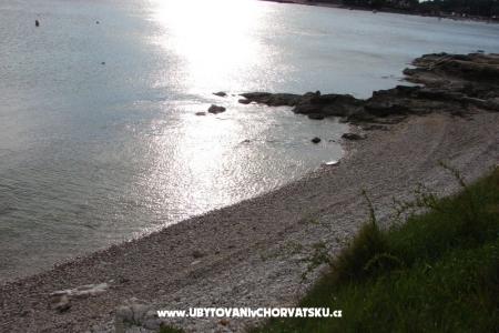 Apartma Petra foto 4