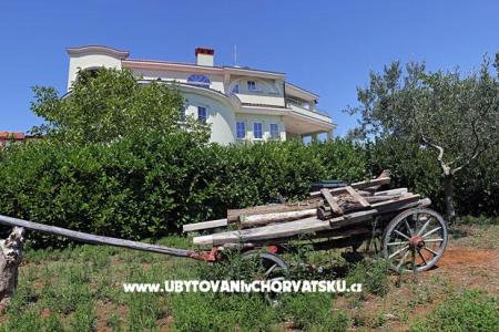 Villa Noela foto 2