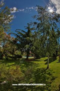 Villa Smrikve  foto 2
