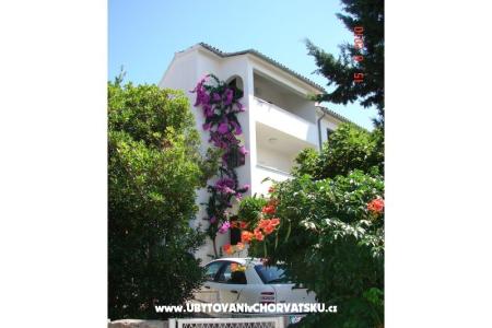 Villa Tatjana Pula Hrvaška