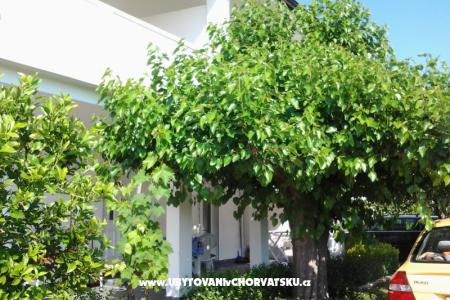 Apartmaji Snjezana otok Rab Hrvaška