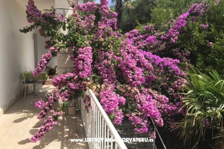 Apartmaji  Španjol foto 4