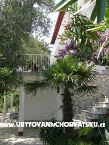 Apartmaji  Španjol foto 5