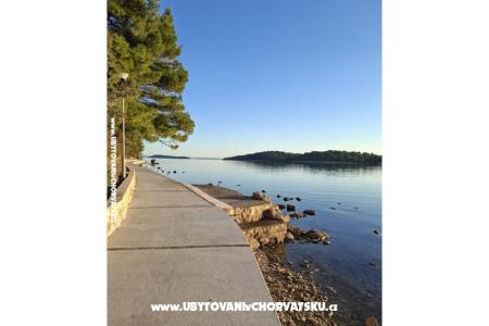 Apartmaji Palit Rab foto 4