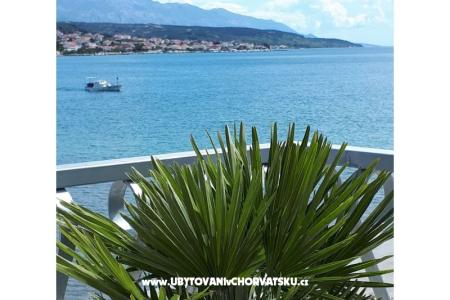 La Gatta Apartmaji foto 3