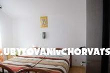  7 maslina foto 4