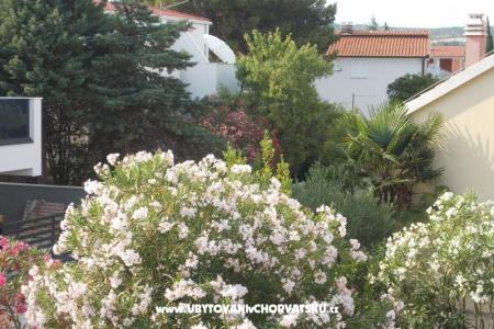 Apartma Brigita foto 3