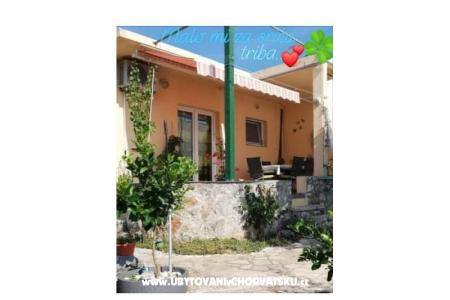 Apartma Pane foto 3