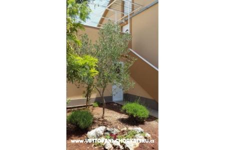 Apartmaji Pejo foto 4