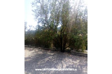 Apartmaji Ercegovic foto 5