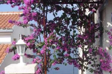 Apartmaji Lucija foto 4