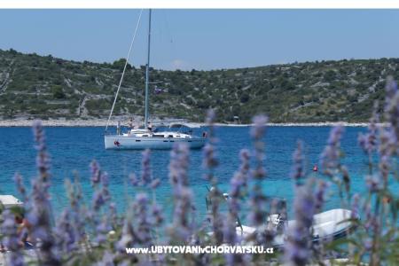 Apartmaji Blazevic Rogoznica Hrvaška
