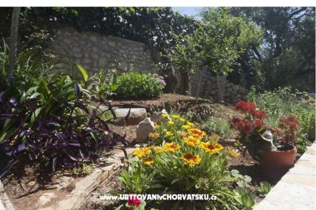 Apartmaji Miro foto 3