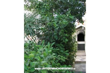 Apartmaji Villa Milakovic foto 4
