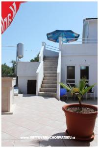 Apartmaji Tomy foto 2