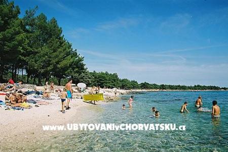 Family Hiša Ivancevic foto 5