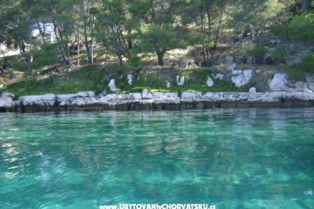 Apartmaji - Otok Lavdara foto 2