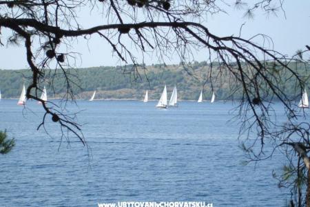 Apartmaji - Otok Lavdara foto 5