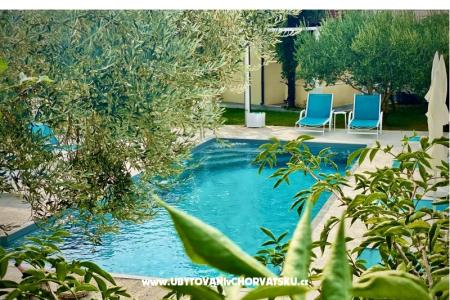 Villa Dube Slano/ villa z bazenom foto 4