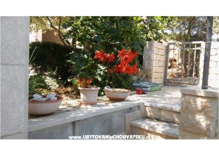 Apartmaji Nikola foto 5