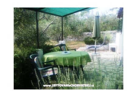 Apartmaji Oliva - Otok Šolta foto 3