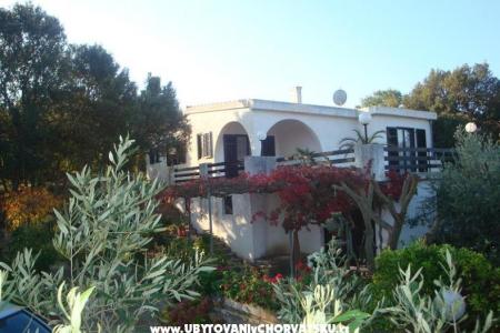 Villa Bepina otok Šolta Hrvaška