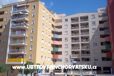 Apartma Ase foto 4