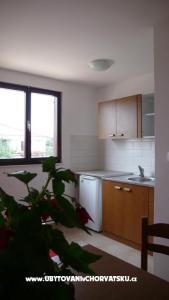 Apartmaji Ivana foto 4