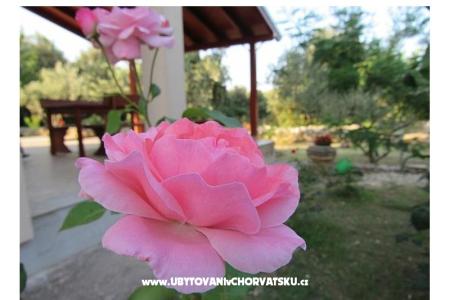 Počitniški dom Dević foto 2