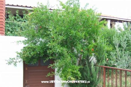 Apartma Lenka foto 5
