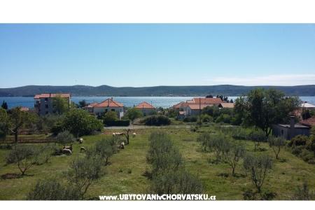 Colić Apartmaji  foto 2