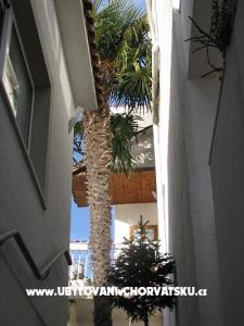 Apartmaji Barižon foto 2