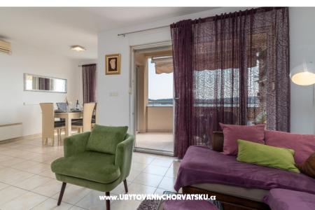 Apartma Anđela  foto 2