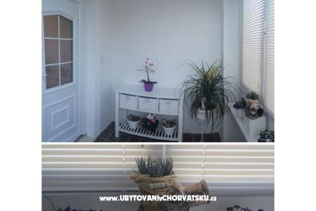 Apartma Nikola foto 4