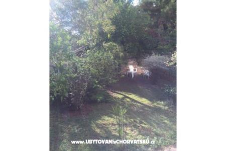 Apartmaji Ivic foto 2